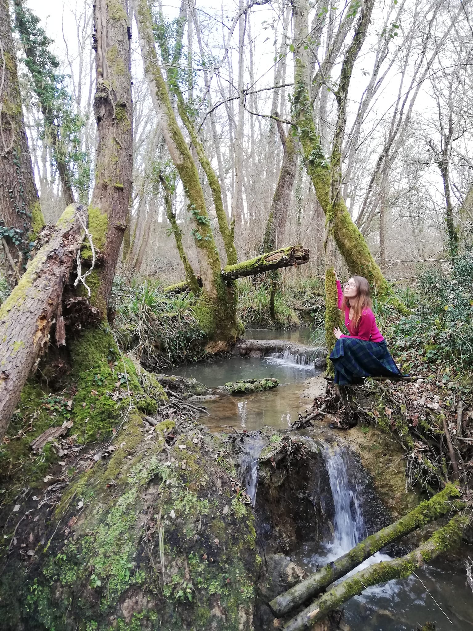 connexion aux arbres