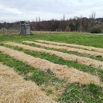 préparation du jardin